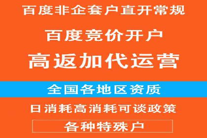 百度推广优化策略：成功案例解析